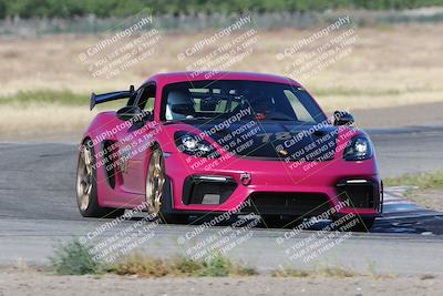 media/May-03-2024-PCA Central Coast (Fri) [[eaa7da0ee1]]/Yellow Group/Session 1 (Grapevine)/